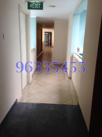Parc Palais (D21), Condominium #77896662